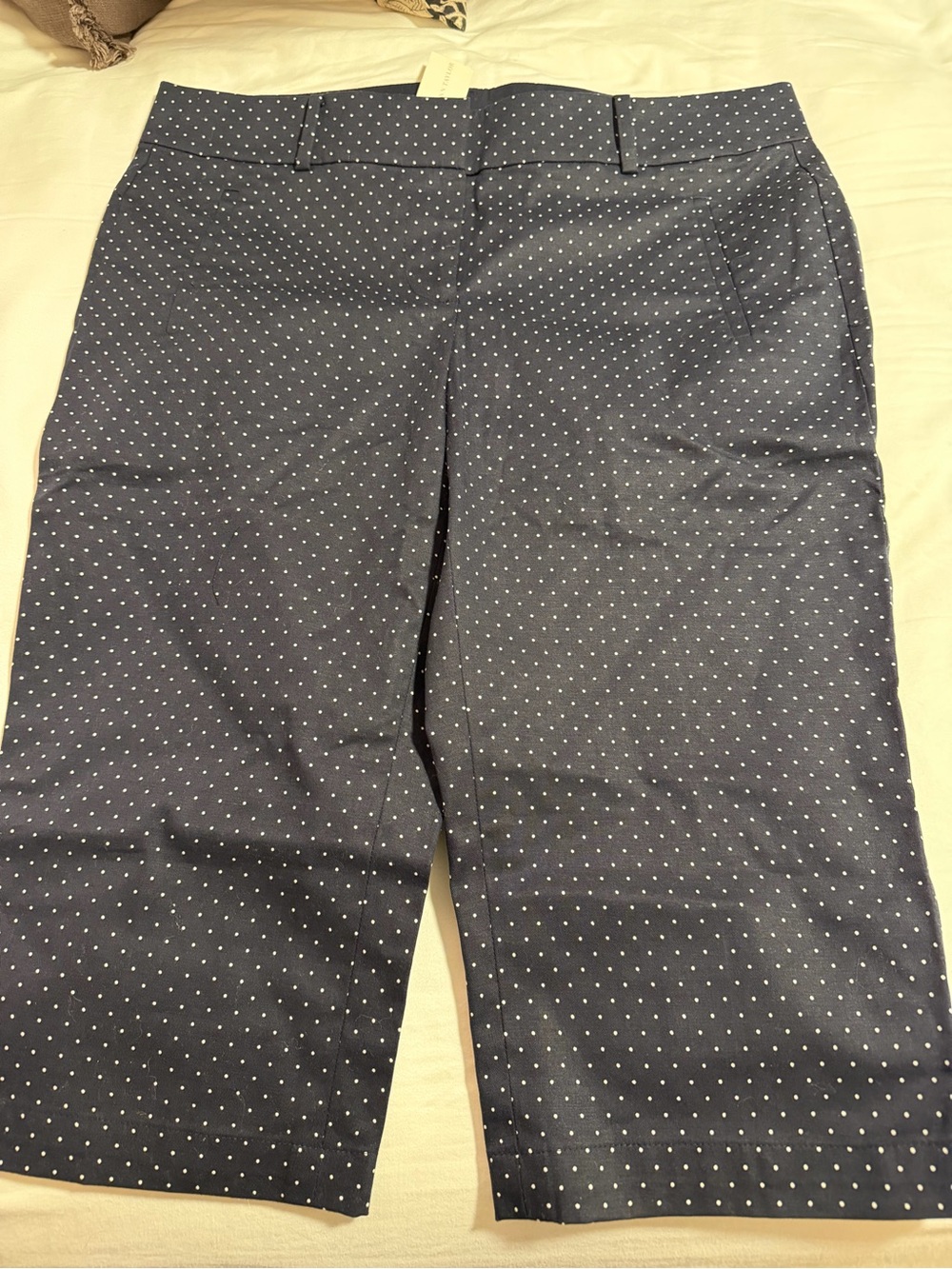 Ann Taylor Boardwalk Bermuda Shorts Size 10 Navy Blue Polka Dot NWT